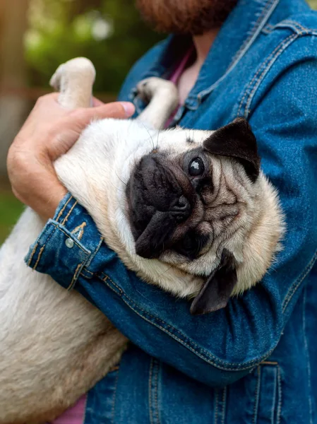 Gelukkige Jongeman Met Hondenpoep Hand Bij Zonsondergang Buiten Grappig Gezicht — Stockfoto