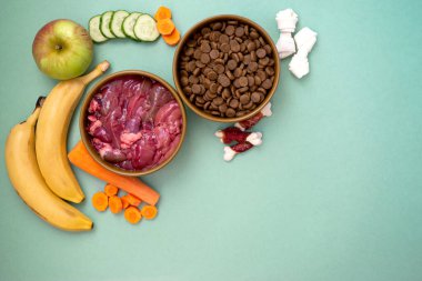 Doğal malzemeli kurutulmuş hayvan maması. Çiğ et, meyve ve sebzeler fotokopi alanı ile düzleştirildi. Fotokopi alanı olan evcil hayvanlar için doğal besinler ve kuru yiyecekler arasında seçim