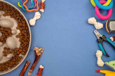 Yavaş beslenmek için köpek kasesi. Çok hızlı yiyen köpekler için özel tasarlanmış bir kase. Köpek mamalar ve oyuncaklar ile kasede beslenir. Kopyalama alanı olan düz