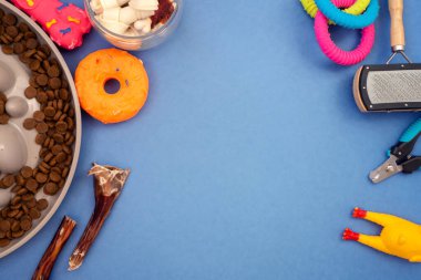 Yavaş beslenmek için köpek kasesi. Çok hızlı yiyen köpekler için özel tasarlanmış bir kase. Köpek mamalar ve oyuncaklar ile kasede beslenir. Kopyalama alanı olan düz