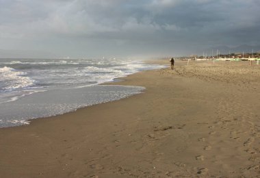 Yaşlı bir adam sahilde dolaşır. Belki de kendini kaybetti ve o artık eve dönüş yolunu bulamıyorum. Onun yalnızlık onun melankoli içinde dolaşır. akıl hastalığı, parkinson belki veya alzheimer.