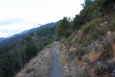 yolları boyunca yolları Apuan Alps Toskana kaybettim. Gotik hattı dünya savaşına kadar uzanmaktadır. unutulmuş ve terk edilmiş yerlere