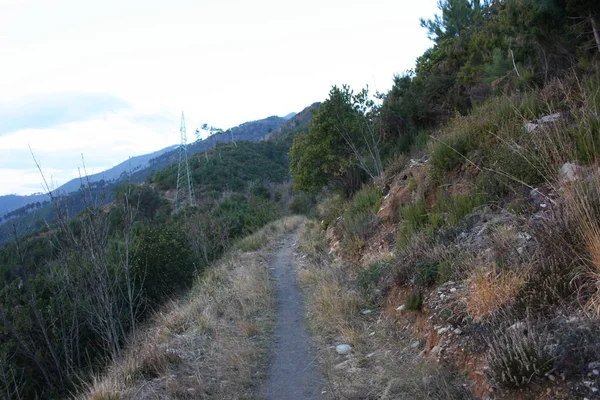 Caminos Perdidos Largo Los Senderos Los Alpes Apuanos Toscana Línea — Foto de Stock