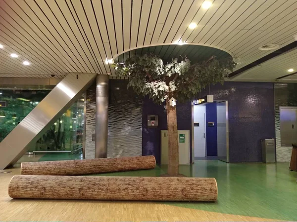 Zona Relajación Para Descansar Dentro Del Aeropuerto Amsterdam Shiphol Decoración — Foto de Stock