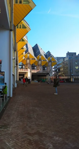 黄色の立方体は 月の晴れた日にロッテルダムの有名な広場で住宅します — ストック写真
