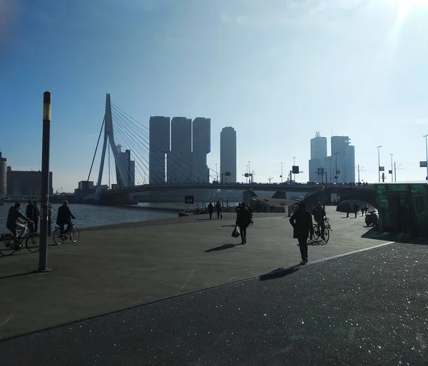 Célèbre Pont Erasmus Rotterdam Aux Pays Bas Les Bâtiments Modernes — Photo