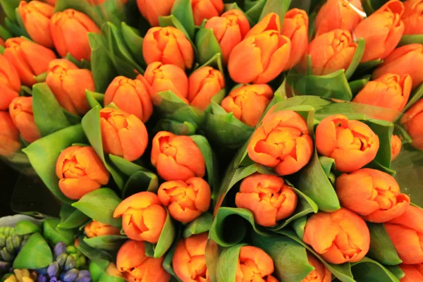 yapay Lale Amsterdam'dan Hatıra Eşyası olarak turistler tarafından satın