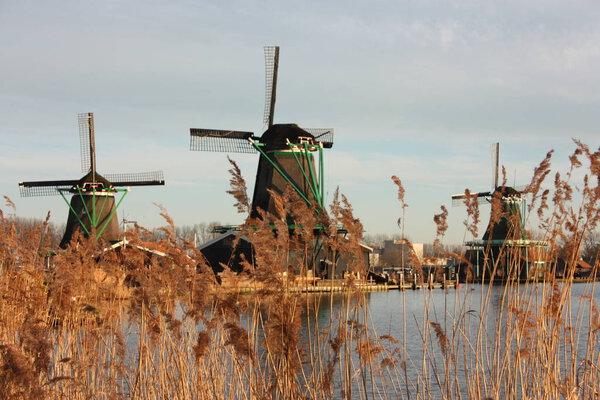 symbol of a tradition now lost, now a mere tourist attraction. colorful windmills built of wood still overlook the water of the river of zaanse schans on which it reflects their vintage image