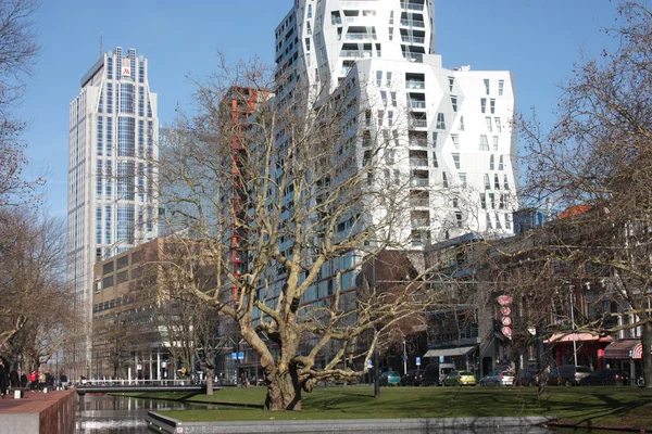 Nuovi edifici moderni e grattacieli a Rotterdam, Olanda — Foto Stock