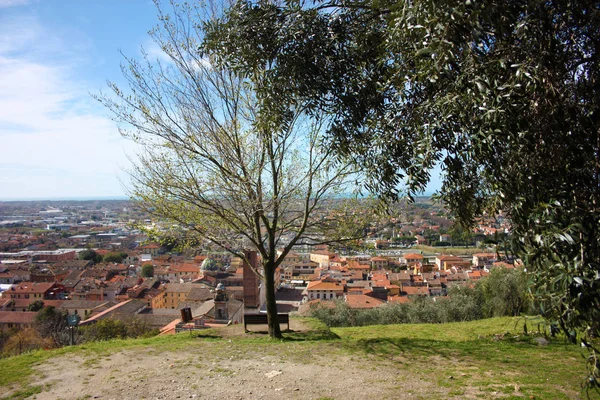 Vista aérea desde una colina. un parque público tranquilo, verde, tranquilo y tranquilo. un banco solitario, un árbol y una vista de la ciudad que se extiende hasta el mar. pietrasanta y su belleza histórica —  Fotos de Stock