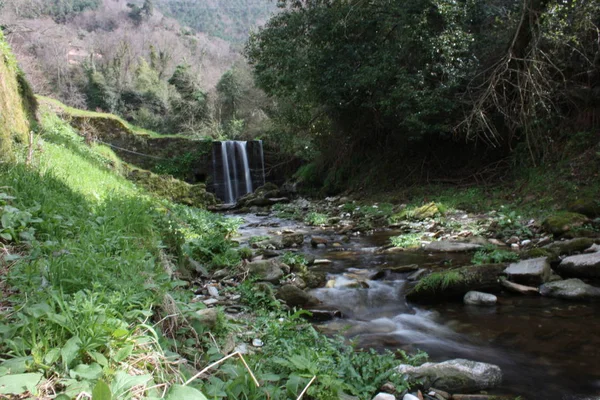 Vodní cesta s hedvábným efektem. malá řeka tekoucí z vodopádu uprostřed zalesněné pláně — Stock fotografie