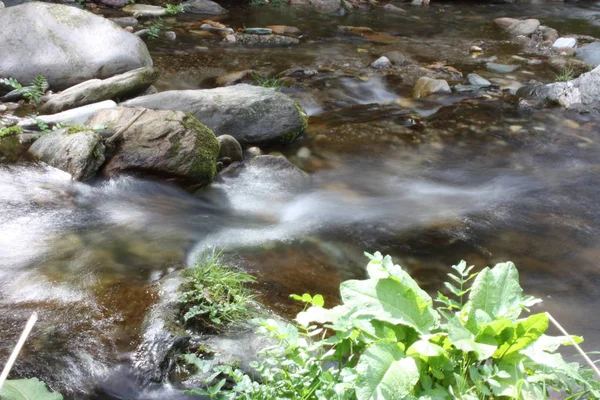 Camino de agua con efecto seda. pequeño río que fluye de la cascada en medio de una llanura boscosa —  Fotos de Stock