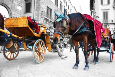 atları turistler üzerinde ahşap küçük yük arabalar yürütmek için çekme aracı olarak kullanılan