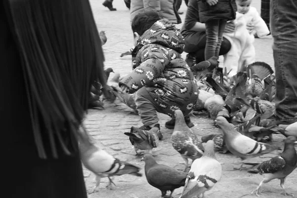 Niños pequeños en un día de invierno jugando en una plaza de una ciudad europea. Disfrutan persiguiendo palomas y alimentándolas. — Foto de Stock