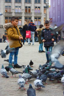 Küçük çocukların bir Avrupa şehri bir meydanda oynayan bir kış gününde. Güvercinlerin ve besleme onları keyfini çıkarın