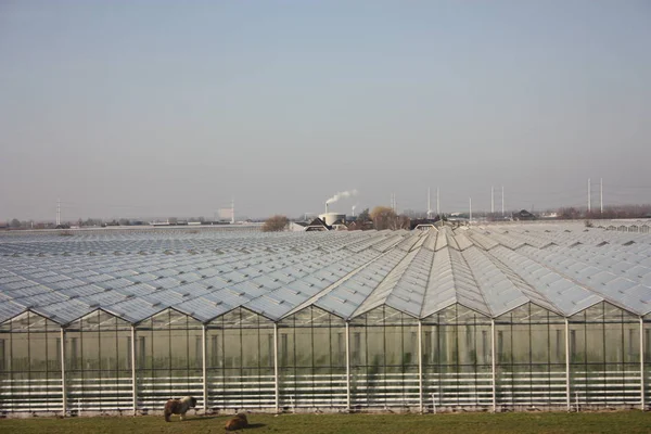 Ackerland. Land für die landwirtschaftliche Produktion in geometrischen Gewächshäusern in vielen Reihen angeordnet verwendet. — Stockfoto