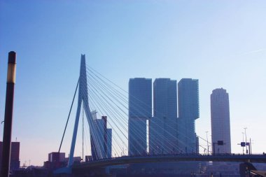 Rotterdam, Holland, Hollanda 'da geç bir sonbahar gününde sis ortasında ünlü Erasmus Köprüsü