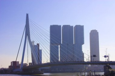Rotterdam, Holland, Hollanda 'da geç bir sonbahar gününde sis ortasında ünlü Erasmus Köprüsü