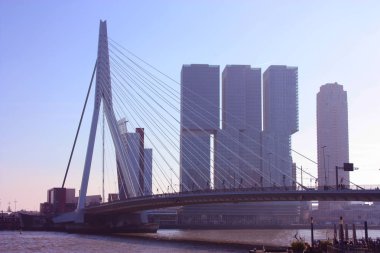 Rotterdam, Holland, Hollanda 'da geç bir sonbahar gününde sis ortasında ünlü Erasmus Köprüsü