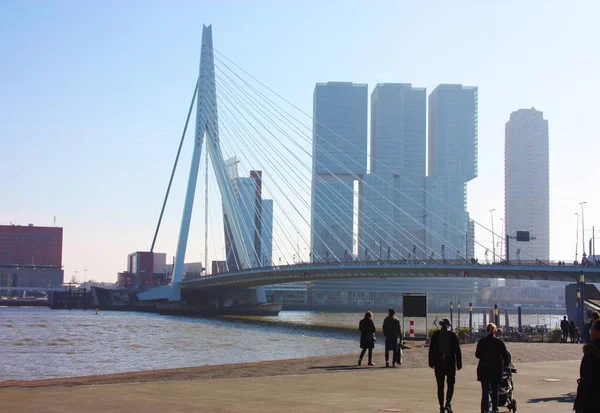 El famoso puente Erasmus en medio de la niebla en un último día de otoño en Rotterdam, Holanda, Países Bajos — Foto de Stock