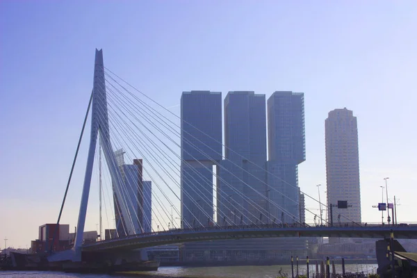 Den berömda Erasmusbron mitt i dimman på en sen höst dag i Rotterdam, Holland, Nederländerna — Stockfoto
