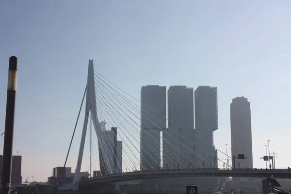 De beroemde Erasmus brug temidden van de mist op een late herfst dag in Rotterdam, Nederland — Stockfoto