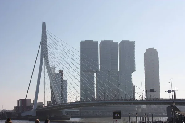 De beroemde Erasmus brug temidden van de mist op een late herfst dag in Rotterdam, Nederland — Stockfoto