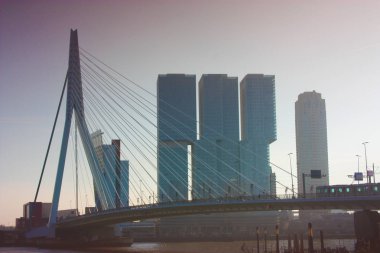 köprüler ve gökdelenler arasında, modern ve fütüristik mimari şehir Rotterdam keşfetmek için bir yolculuk