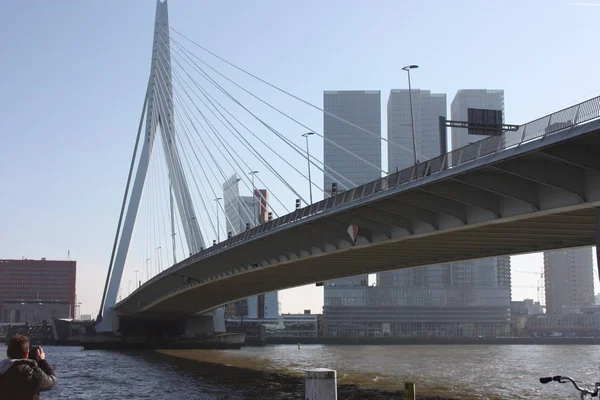 Un viaje para descubrir la ciudad arquitectónica moderna y futurista de Rotterdam, entre puentes y rascacielos —  Fotos de Stock