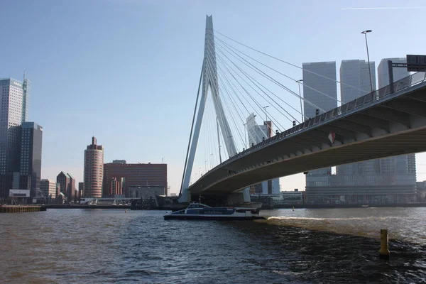 Un viaje para descubrir la ciudad arquitectónica moderna y futurista de Rotterdam, entre puentes y rascacielos —  Fotos de Stock