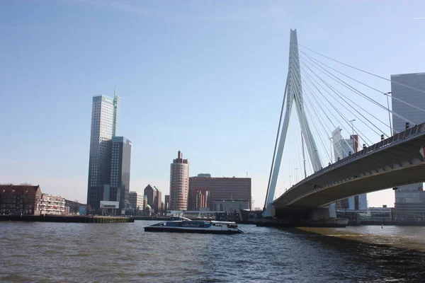 Un viaje para descubrir la ciudad arquitectónica moderna y futurista de Rotterdam, entre puentes y rascacielos — Foto de Stock