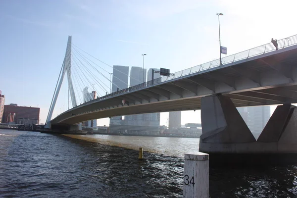 Cesta k objevování moderního a futuristického architektonického města Rotterdamu mezi mosty a mrakodrapy — Stock fotografie