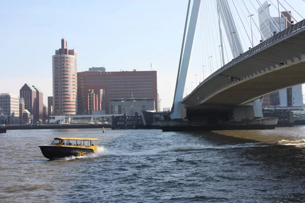 köprüler ve gökdelenler arasında, modern ve fütüristik mimari şehir Rotterdam keşfetmek için bir yolculuk