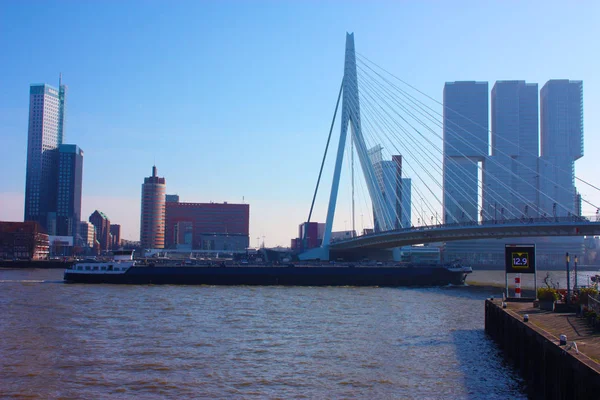 Путешествие по современному и футуристическому архитектурному городу Роттердам, между мостами и небоскребами — стоковое фото
