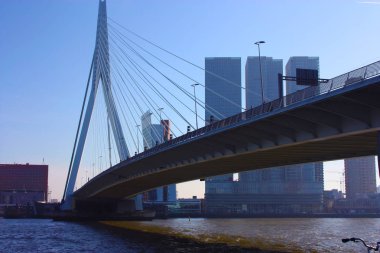 köprüler ve gökdelenler arasında, modern ve fütüristik mimari şehir Rotterdam keşfetmek için bir yolculuk