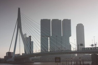 köprüler ve gökdelenler arasında, modern ve fütüristik mimari şehir Rotterdam keşfetmek için bir yolculuk