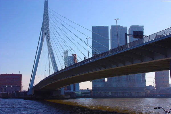 Cesta k objevování moderního a futuristického architektonického města Rotterdamu mezi mosty a mrakodrapy — Stock fotografie