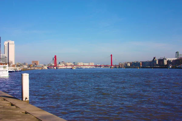 Eine reise zur entdeckung der modernen und futuristischen architektonischen stadt rotterdam, zwischen brücken und hochhäusern — Stockfoto