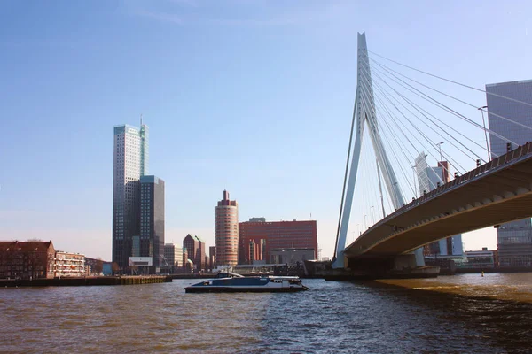 Podróż do odkrywania nowoczesnego i futurystycznego miasta architektonicznego Rotterdam, między mostami i wieżowców — Zdjęcie stockowe
