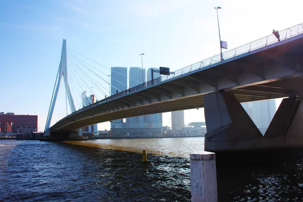 Een reis om de moderne en futuristische architectuurstad Rotterdam te ontdekken, tussen bruggen en wolkenkrabbers — Stockfoto