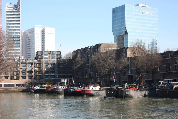 Güneşli bir bahar gününde Rotterdam modern ve turistik liman. Metropolde tekneler, gemiler ve balıkçı tekneleri sabah işe hazır uyanmak.