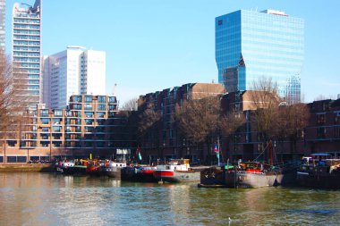 Güneşli bir bahar gününde Rotterdam modern ve turistik liman. Metropolde tekneler, gemiler ve balıkçı tekneleri sabah işe hazır uyanmak.