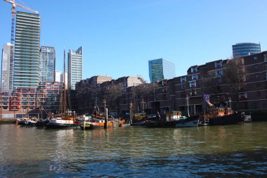 Rotterdam limanı, gemiler ve tekneler demirlemiş, Hollanda turizm