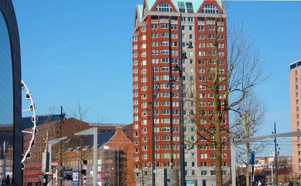 Dagligt stads kaos i det hektiska och moderna posterar av metropolisen av Rotterdam. Gula kubik hus är dekorationen av staden centrerar — Stockfoto