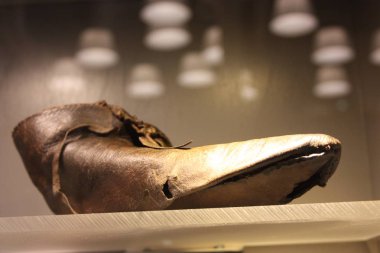 Rotterdam'dan Erasmus ayakkabısı