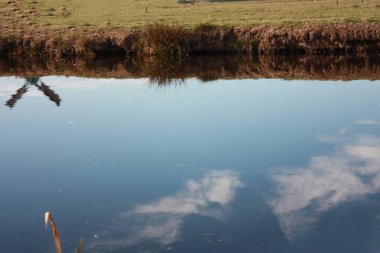 Hollanda ve su yolları tipik ve karakteristik yel değirmenleri arasında, güneşli bir günde Zaanse schans turist gezisi