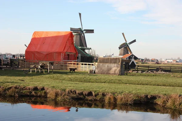 Vårreise til Zaanse Schans. Placid kanaler, stille elver strømmer mellom åsene. De nederlandske vindmøllene er et tradisjonelt turistlandemerke etter århundrer. – stockfoto