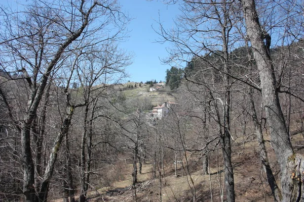 卡莱金的春天全景，干燥的土壤和光秃秃的树木。土地是干燥的，灌木也流离失所在托斯卡纳由于干旱 — 图库照片