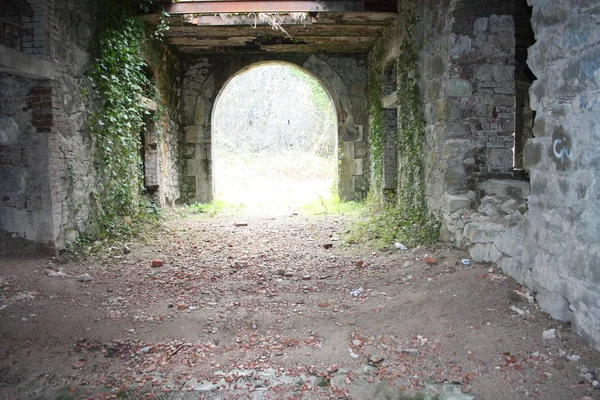 Fort Bastione, een negentiende-eeuws militair fort, verlaten aan de verwaarlozing van de natuur. schrijnende stenen constructie van binnen en van buiten. wilde natuur bedekt het hele kasteel — Stockfoto