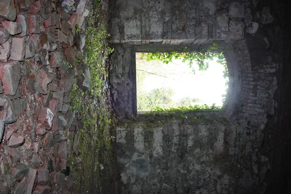 Pevnost Bašion, vojenská pevnost devatenáctého století, byla opuštěna zanedbávání přírody. uvnitř i venku se skličující kamenná konstrukce. Divoká příroda pokrývá celý hrad — Stock fotografie